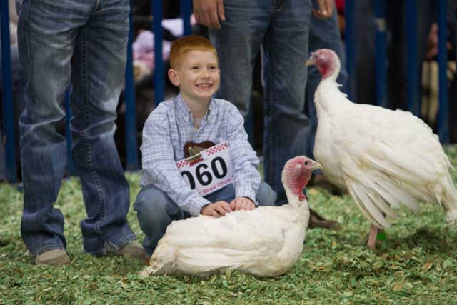 San Antonio Stock Show & Rodeo - FEBRUARY